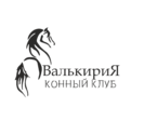 Конный Клуб ВАЛЬКИРИЯ - КАТАНИЕ НА ЛОШАДЯХ в Нижнем Новгороде 8(920)073-00-75